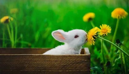 九游娱乐-赛季MVP竞争白热化，多位候选人状态出众，这赛季mvp