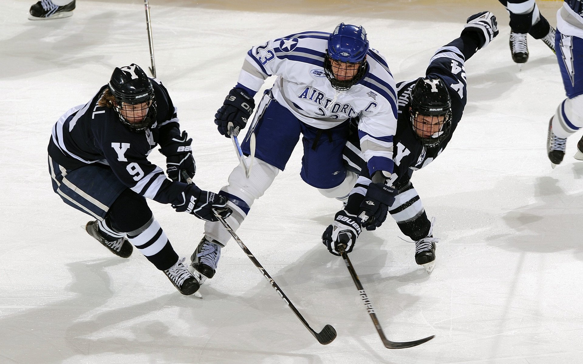 世界极限飞盘挑战，团队合作的新高点，极限飞盘比赛视频